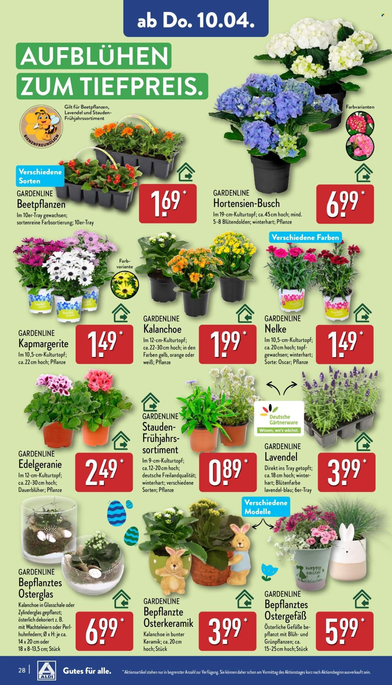 ALDI Nord Prospekt