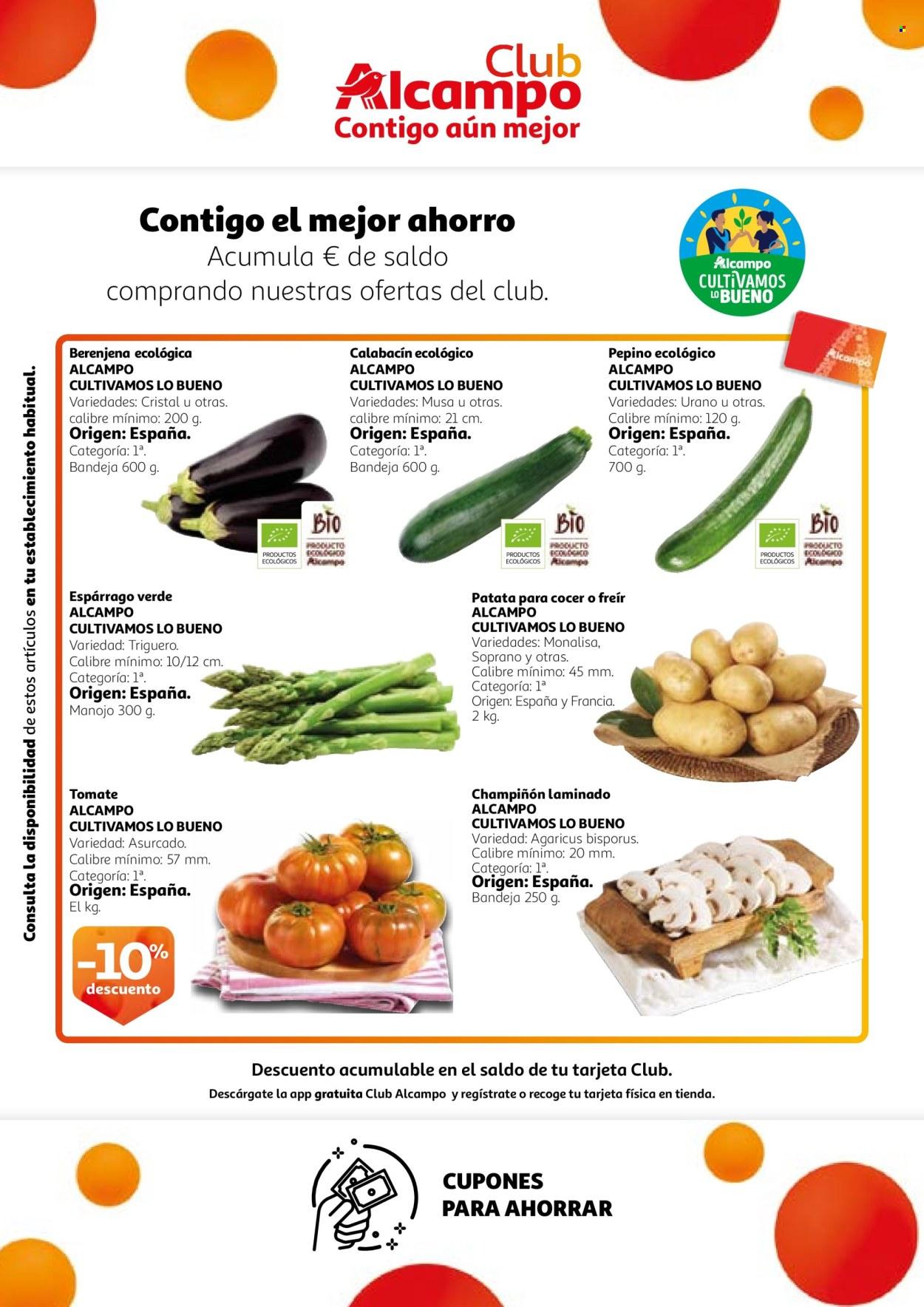 Folleto: Promociones Club Contigo aún mejor (2025-04-22 - 2025-05-05)