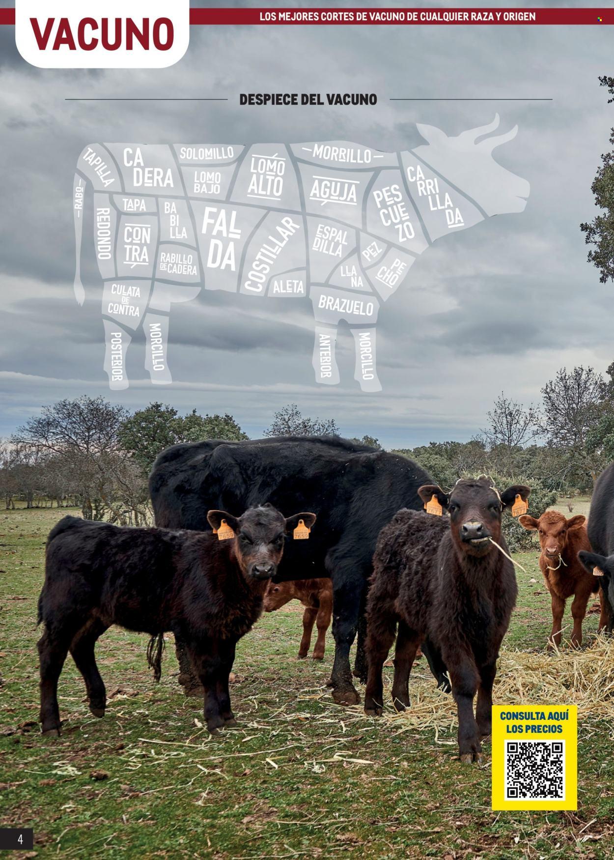 Folleto: Especial Carnes Península (2025-04-07 - 2025-05-04)