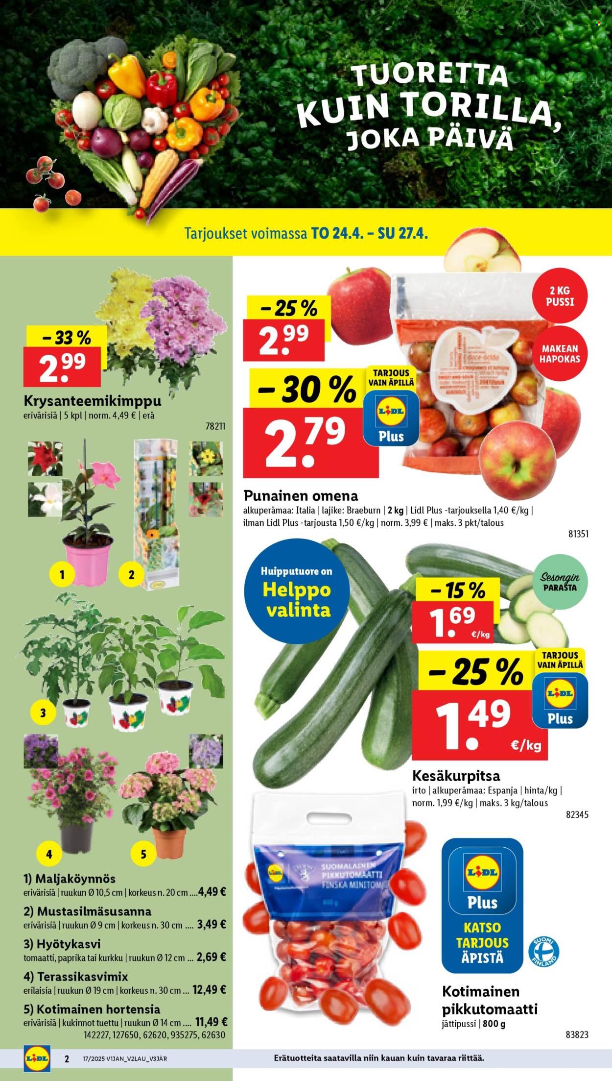 Lidl tarjoukset