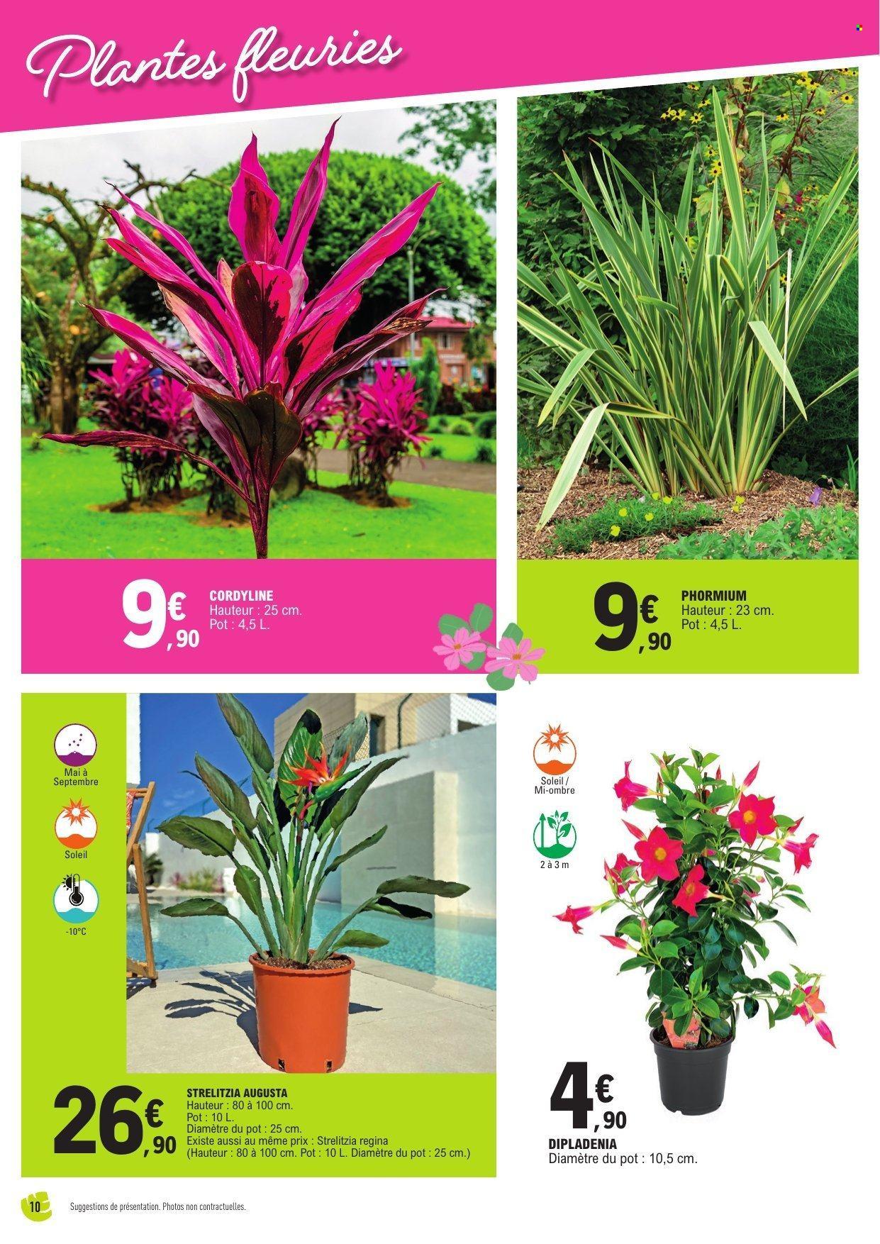 Catalogue: Spécial plantes méditerranéennes (2025-04-15 - 2025-04-26)