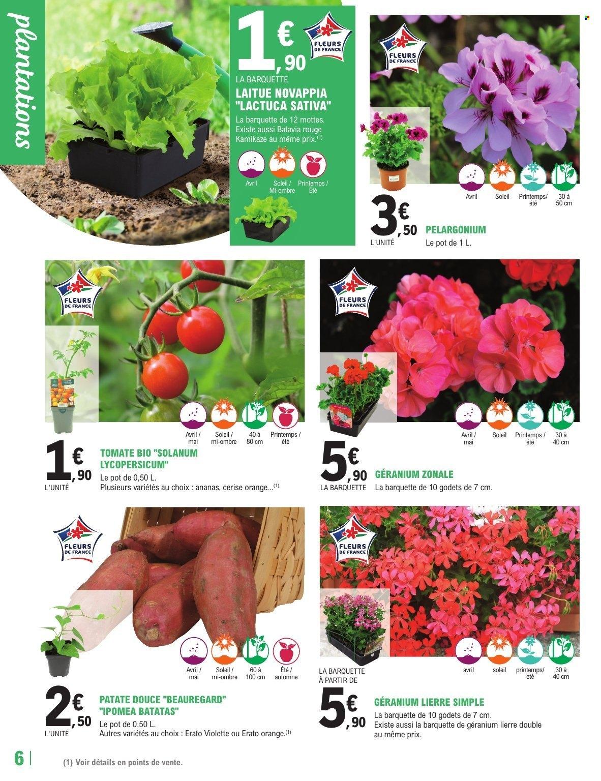Catalogue: TRAFIC JARDI PRINTEMPS