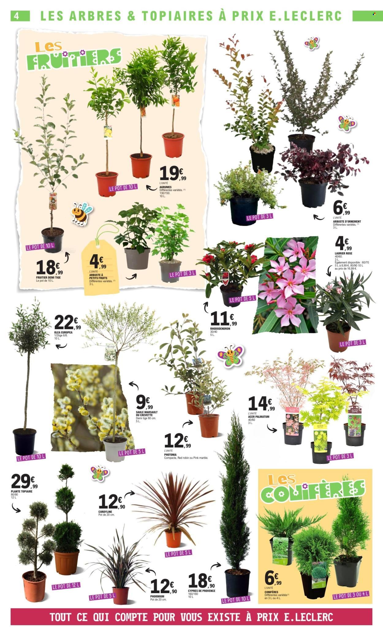 Catalogue: TOUS AU JARDIN
