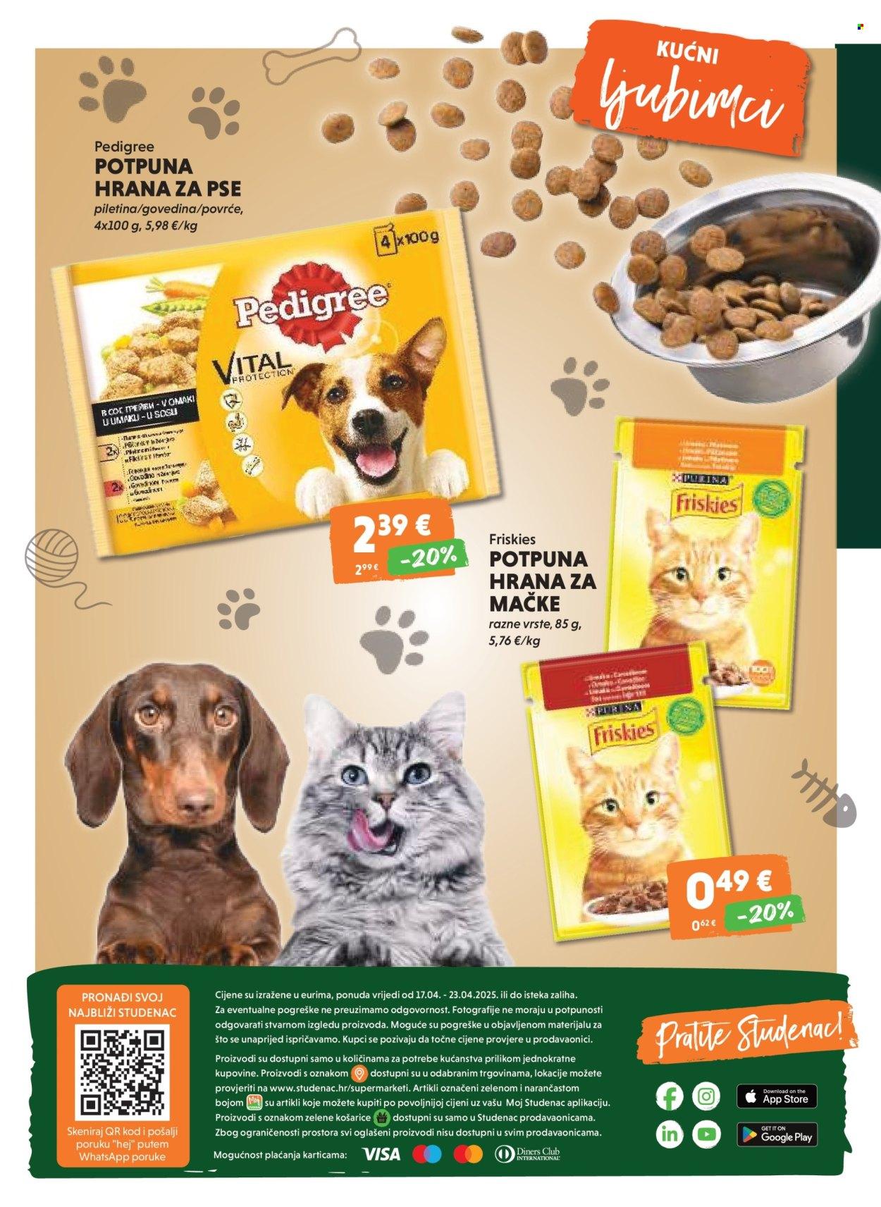 Katalog
