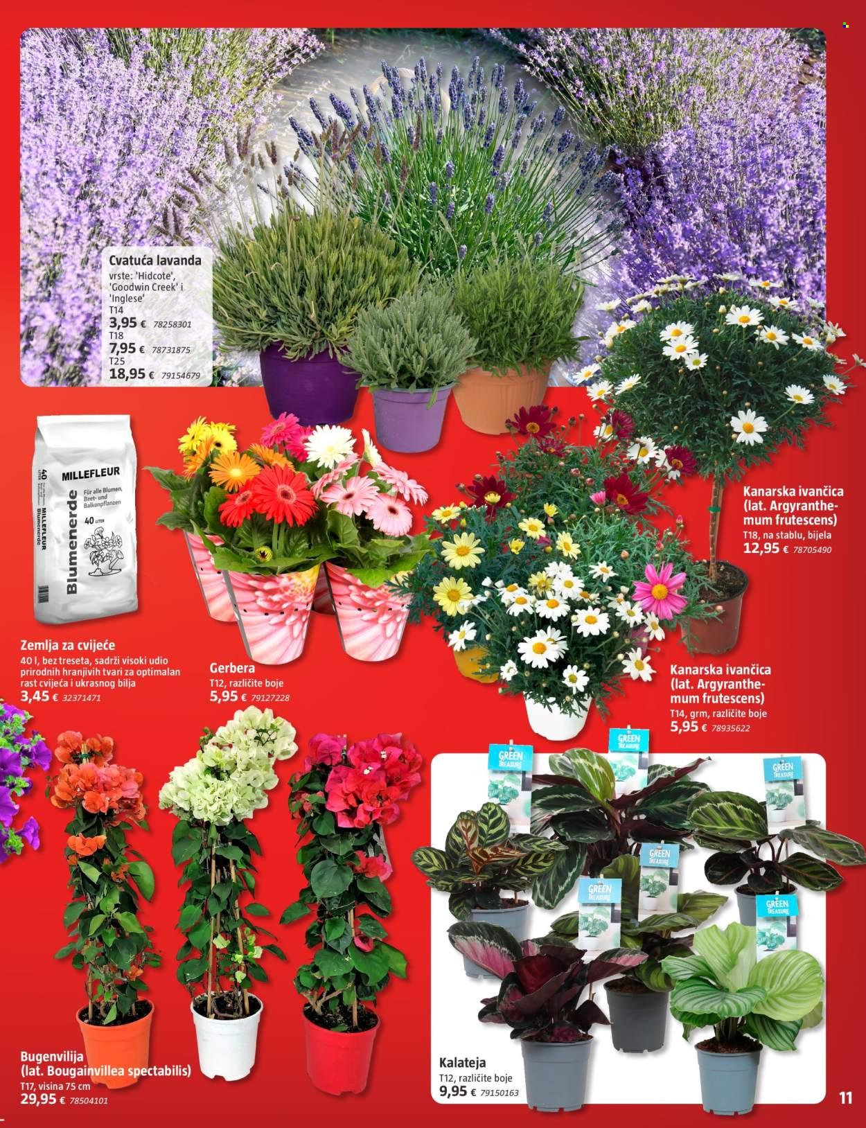 Katalog: letak Travanj 2025.