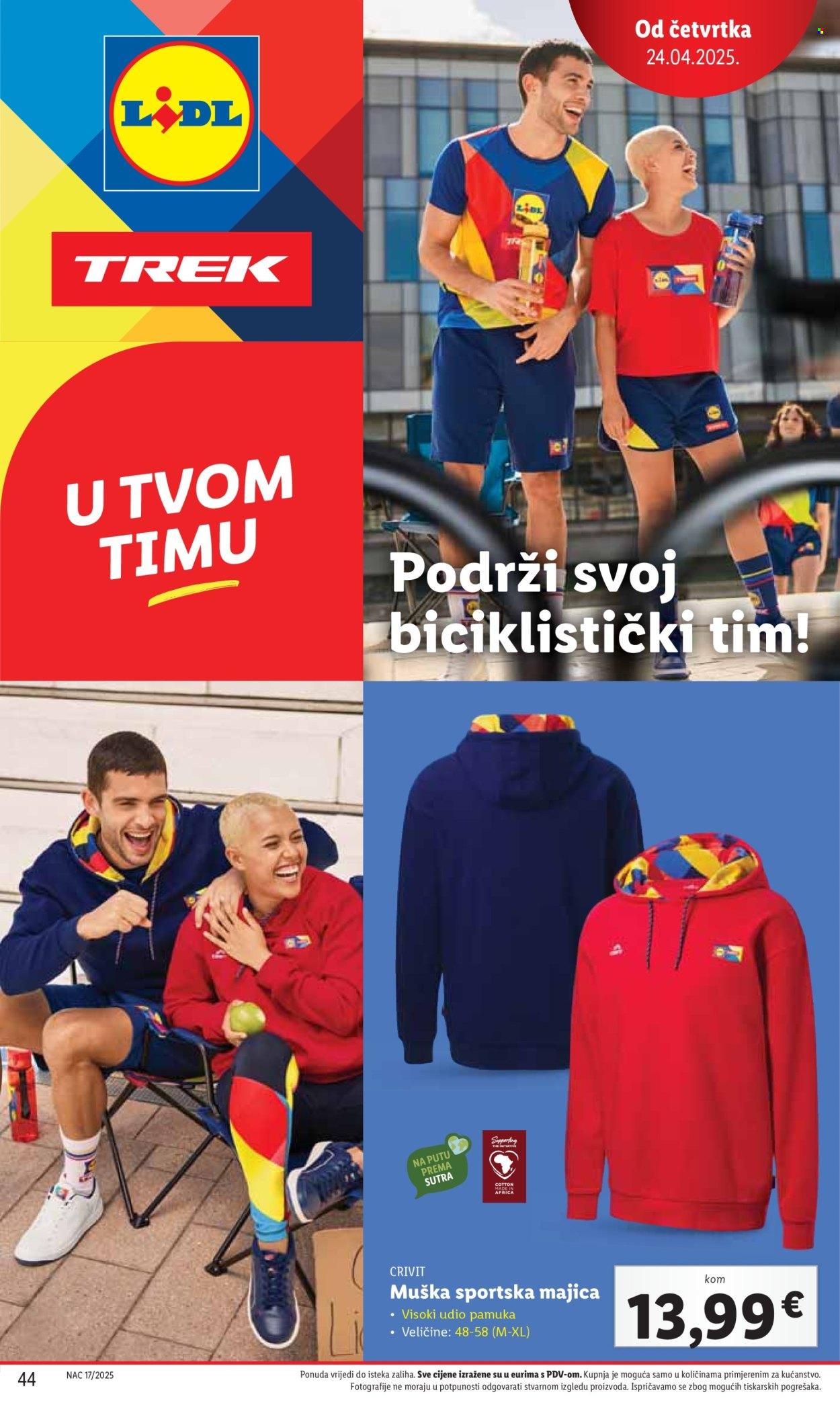Katalog
