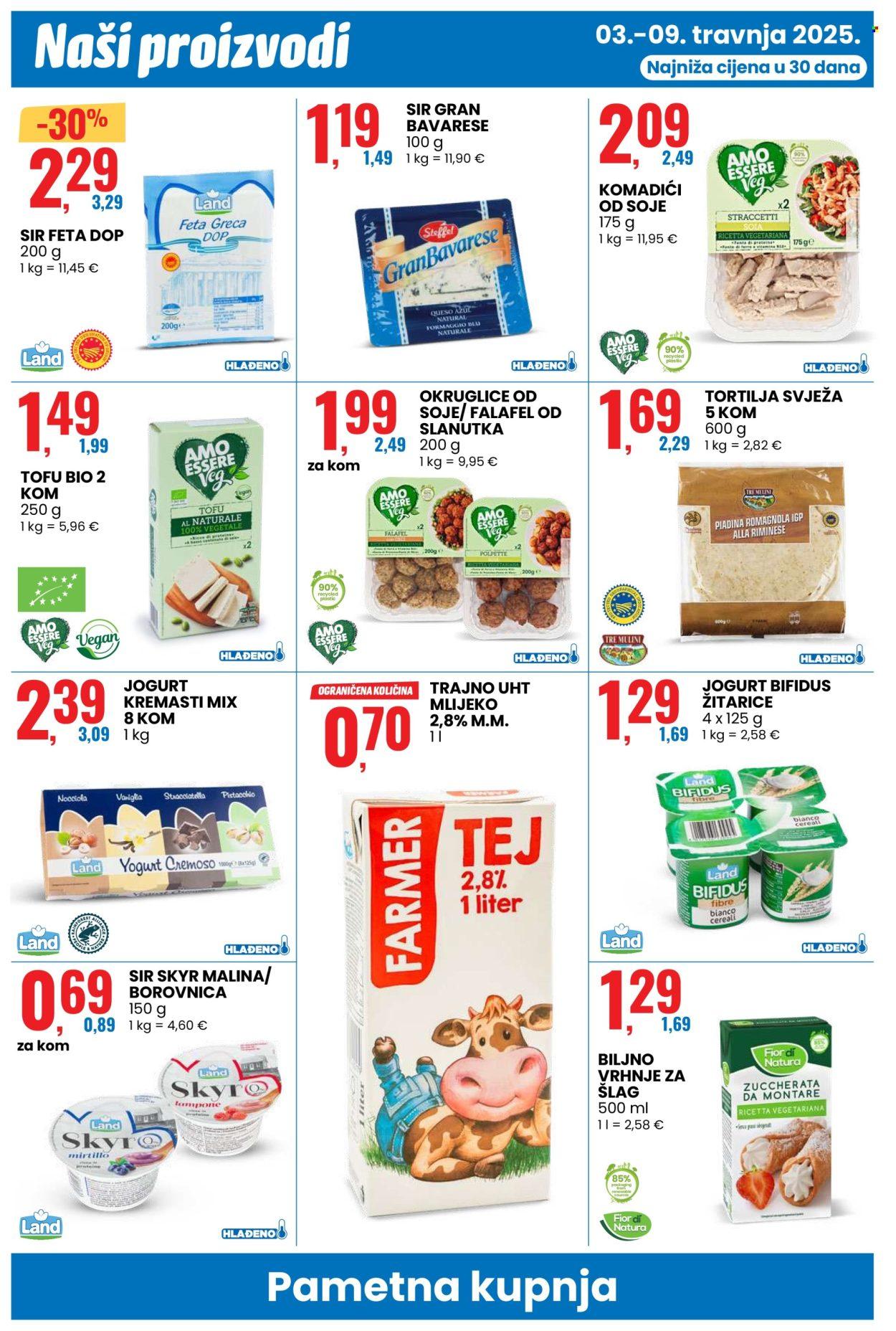 Katalog