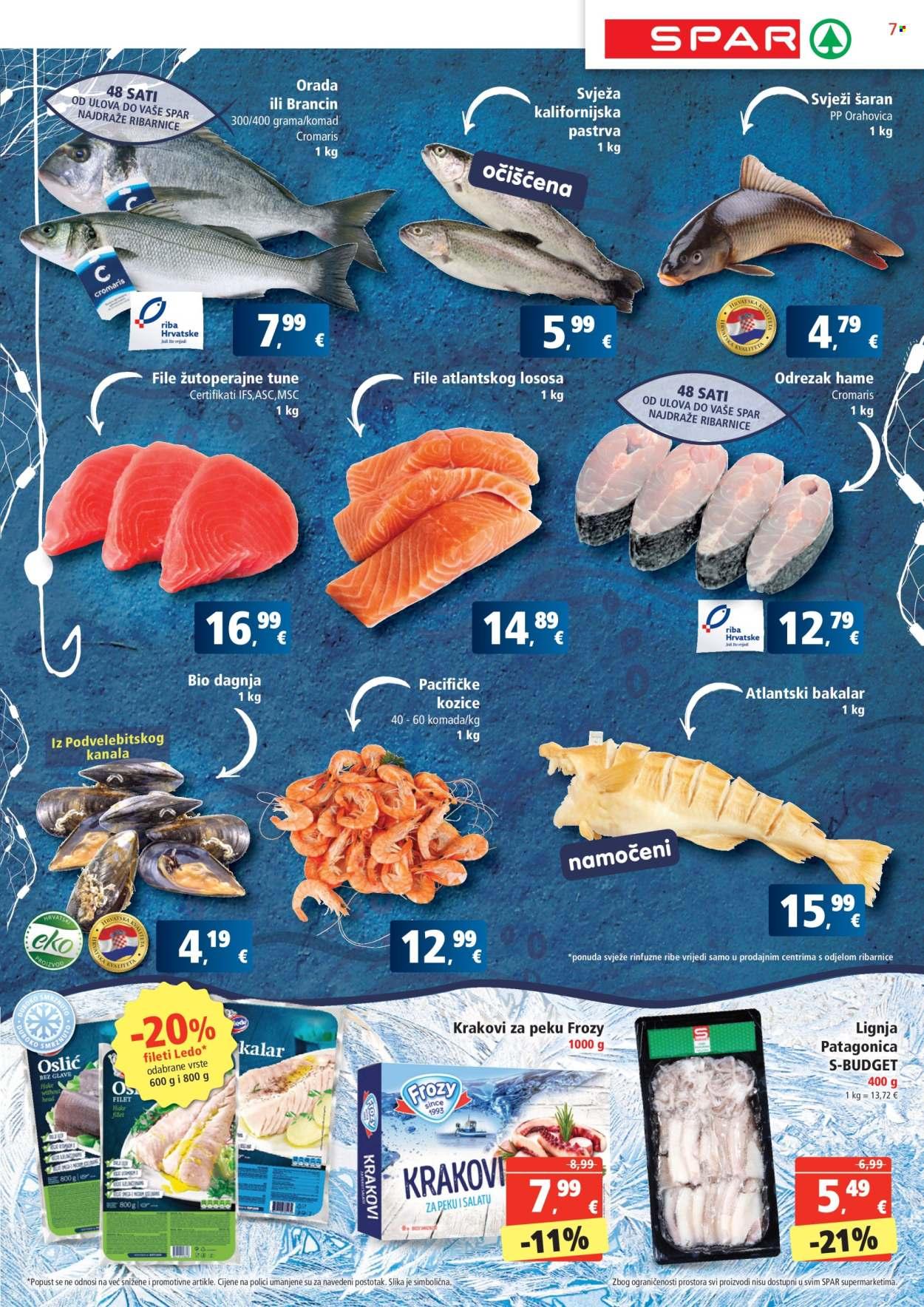 Katalog