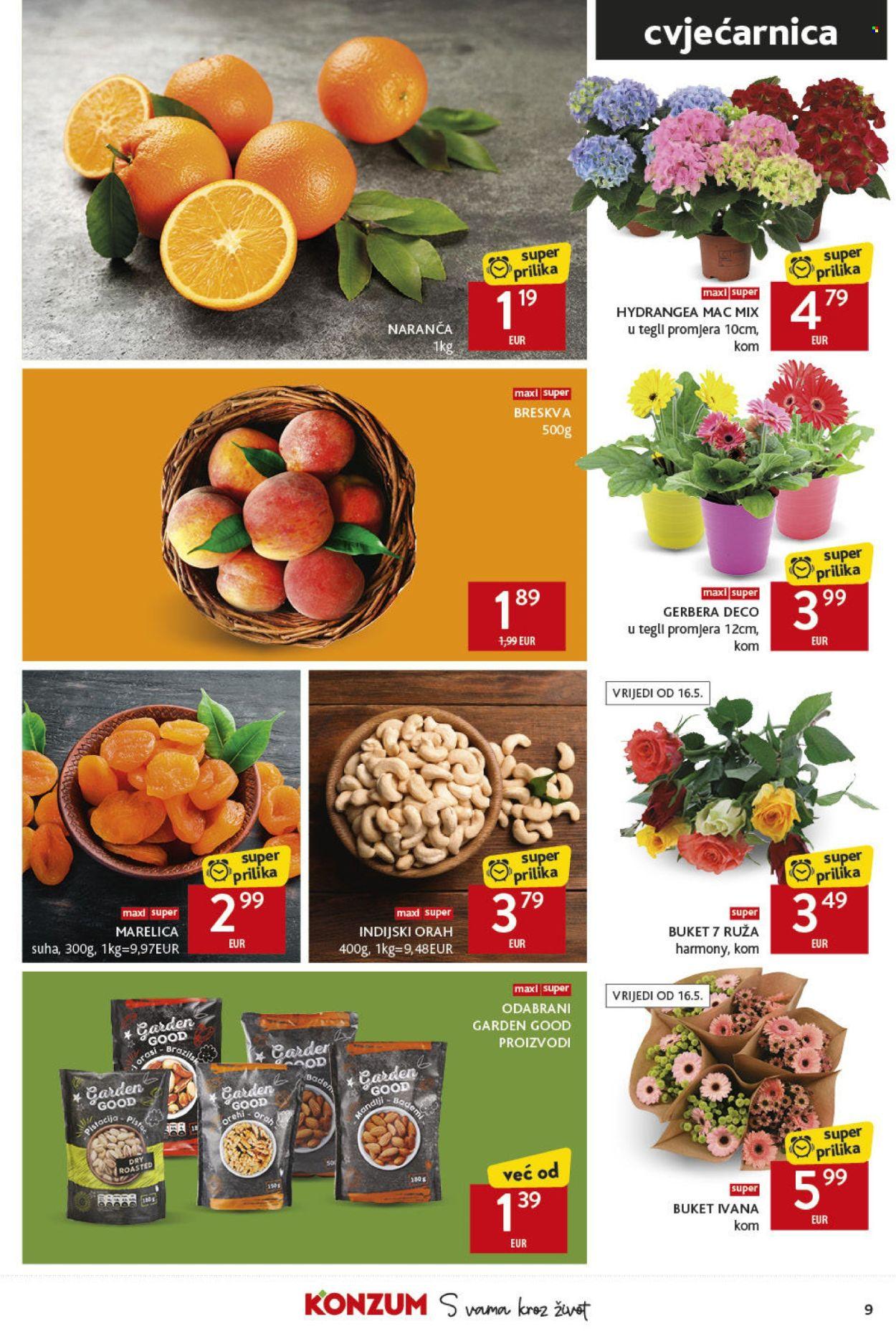 Katalog