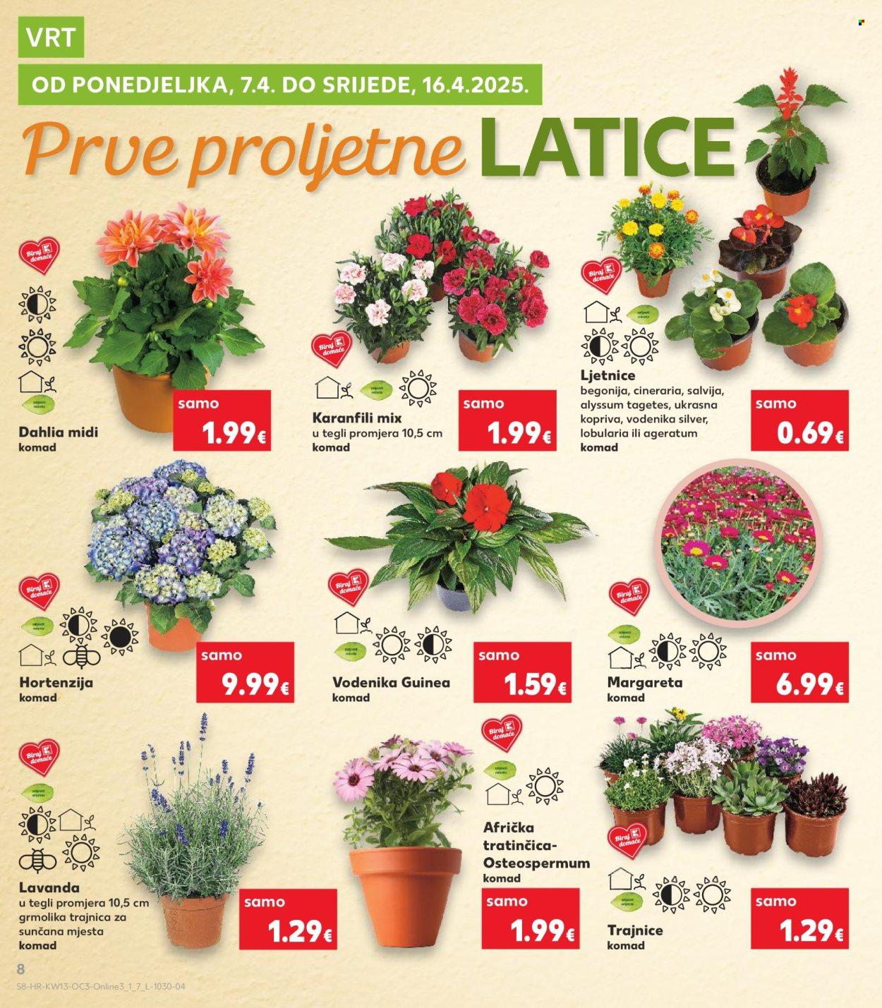 Katalog