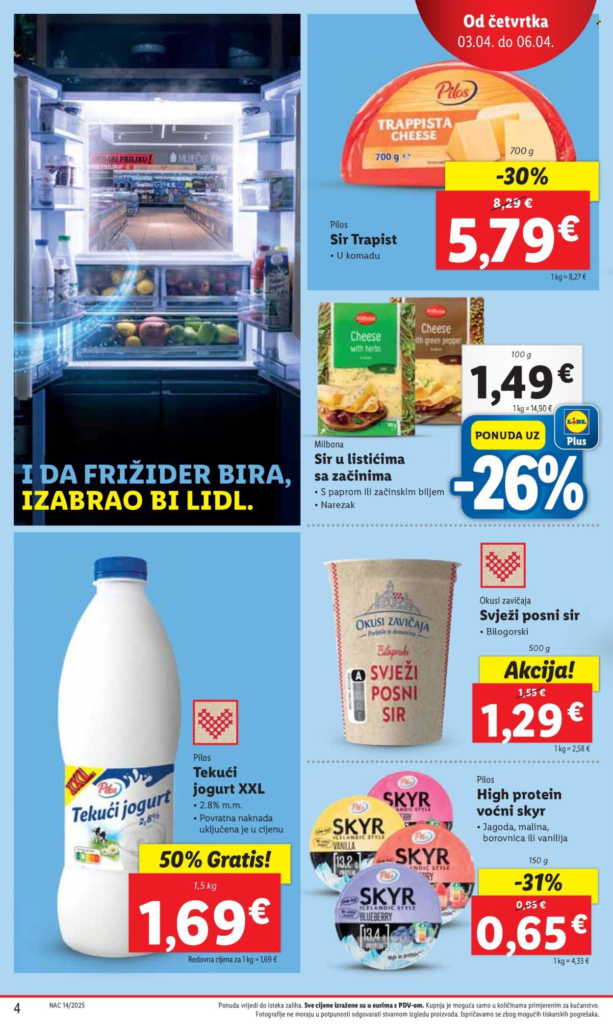 Katalog
