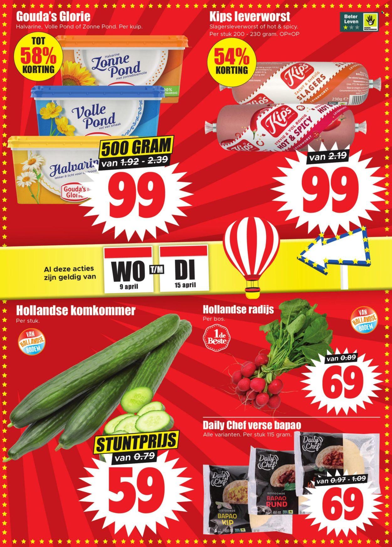 Dirk folder: Het Actiecircus