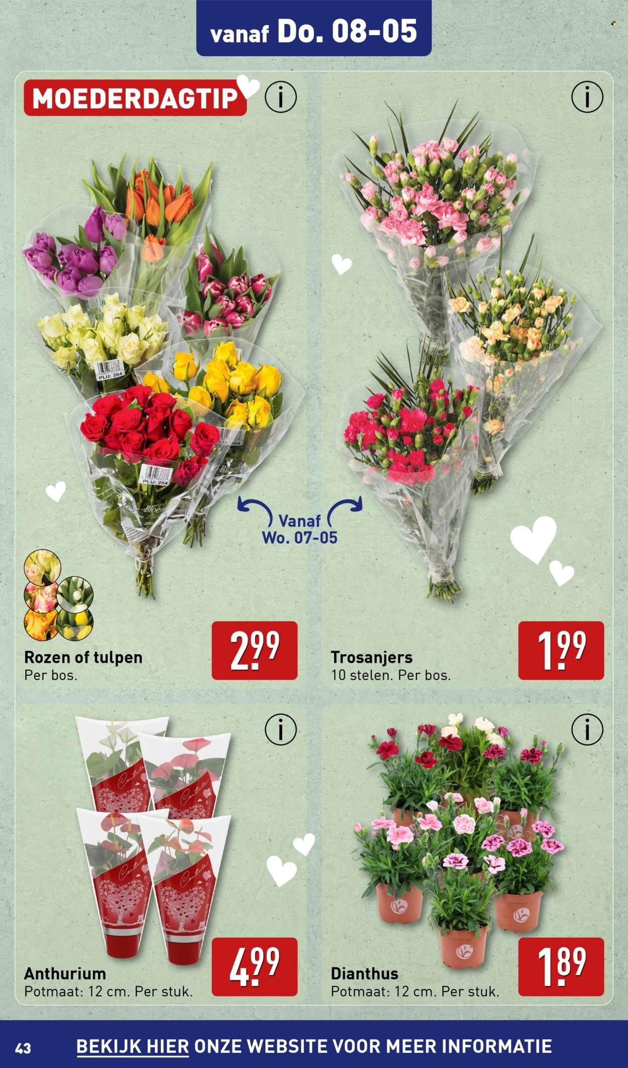 Aldi folder (2025-05-05 - 2025-05-11)