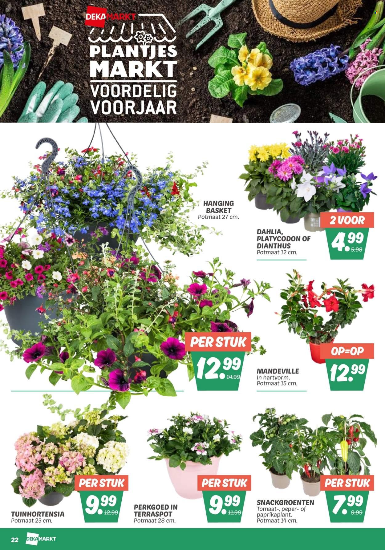 DekaMarkt folder (2025-05-06 - 2025-05-12)