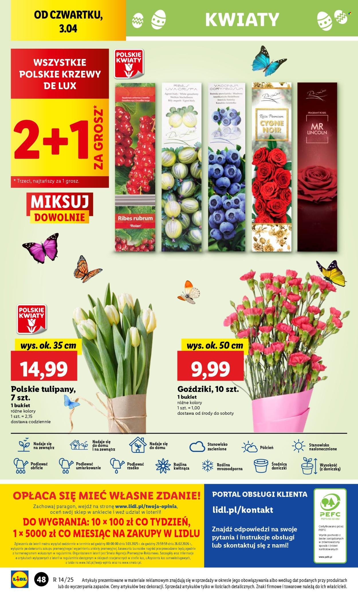 Gazetka: Od czwartku