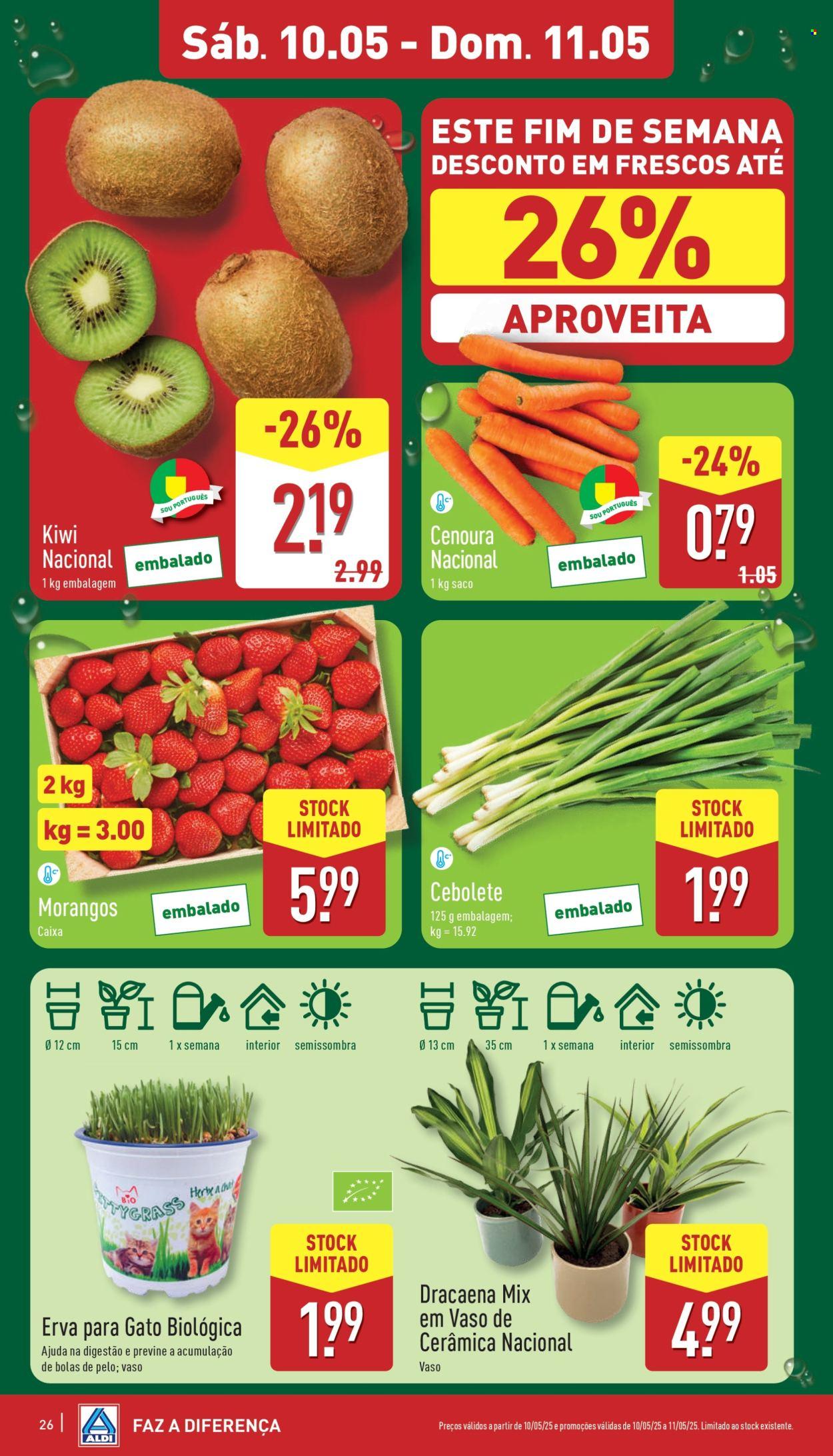 Folheto (2025-05-07 - 2025-05-13)