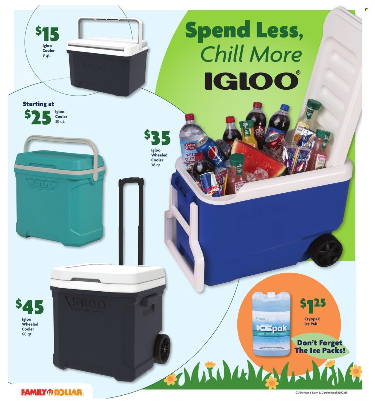Family Dollar Ad: Lawn & Garden Book