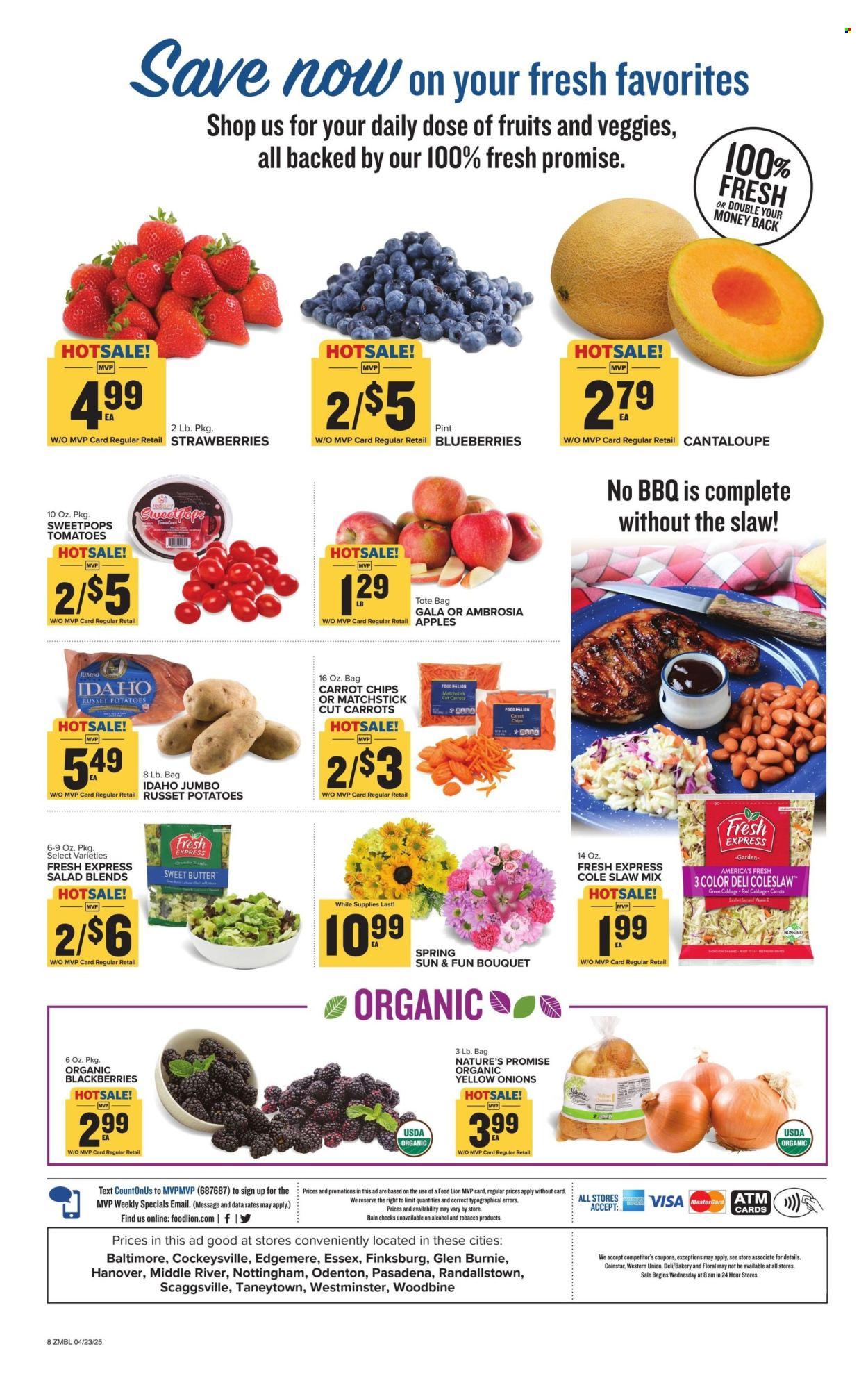 Food Lion Ad: Weekly Ad