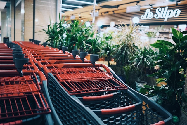 Best Seasonal Catalogue Offers: Don't Miss These Discounts in Australia