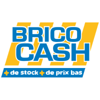 Brico Cash logo
