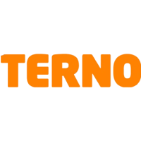 Terno logo