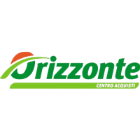 Orizzonte logo
