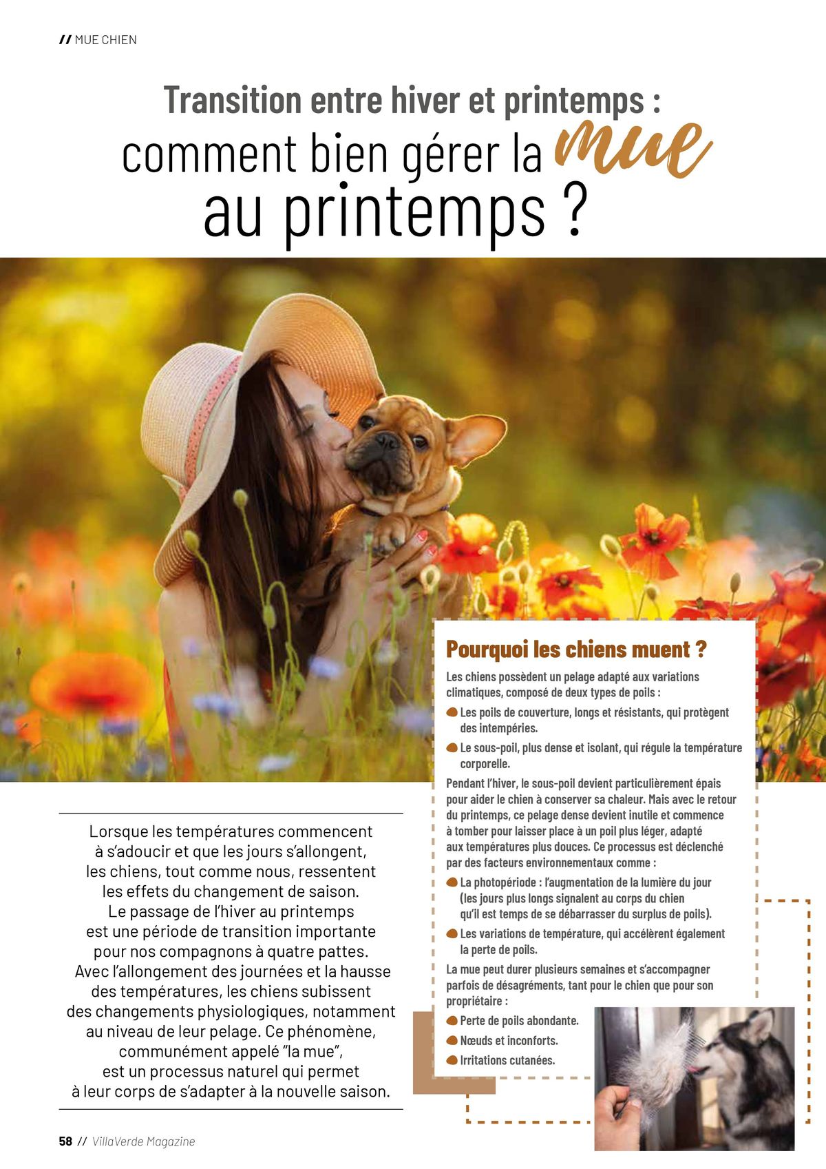 Catalogue VillaVerde | Printemps 2025