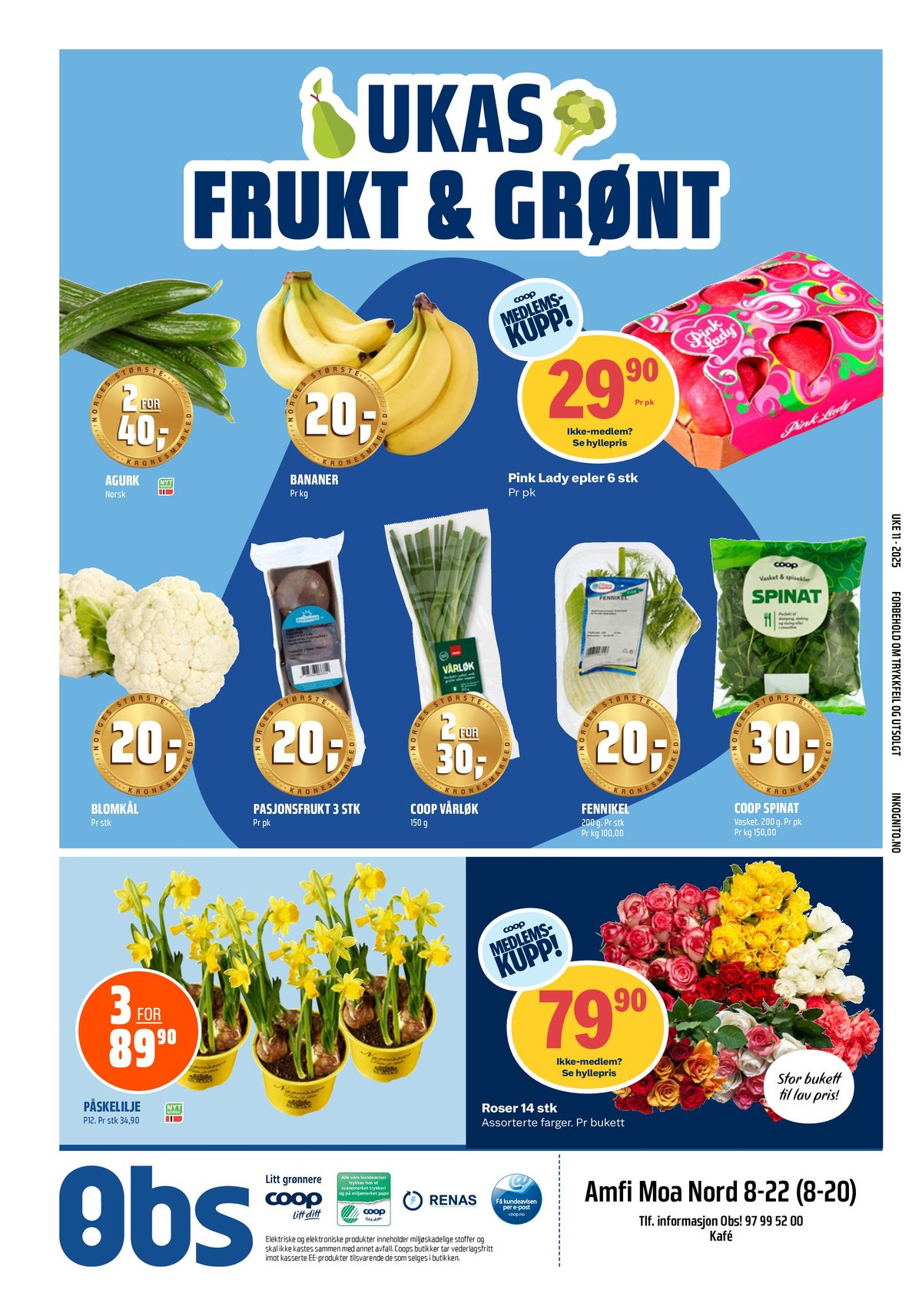 Obs-katalog | Aktuelle kupp og tilbud